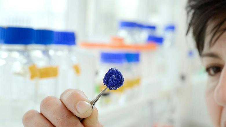 Researcher looks at biophysics material